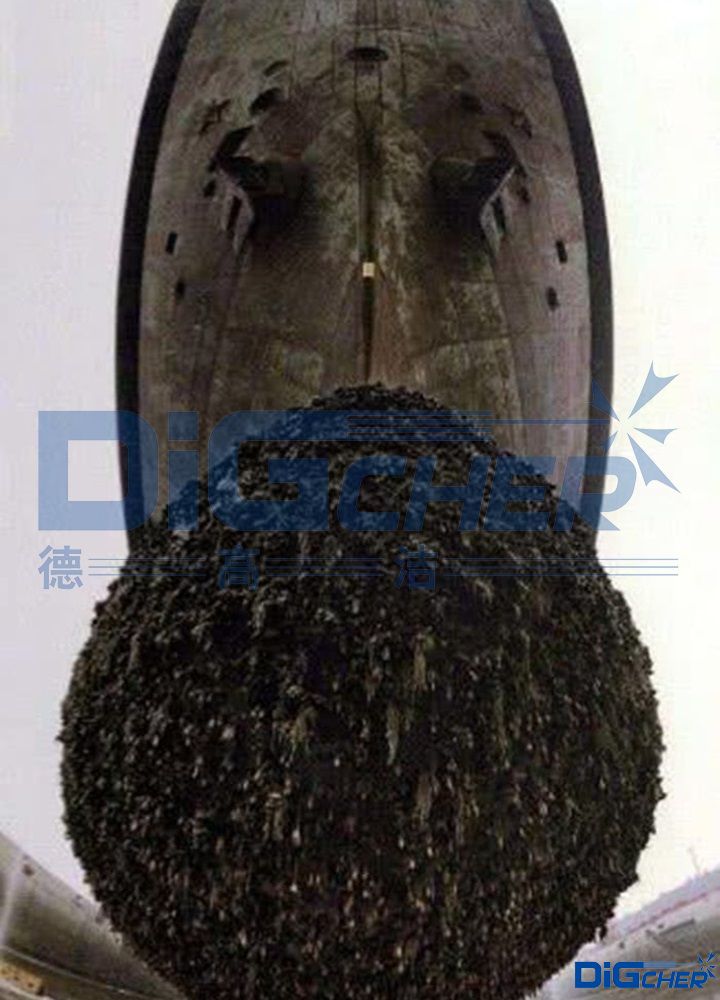 航母船底海生物污损