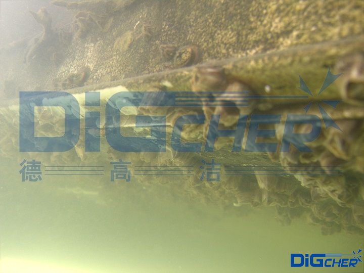 海生物附着
