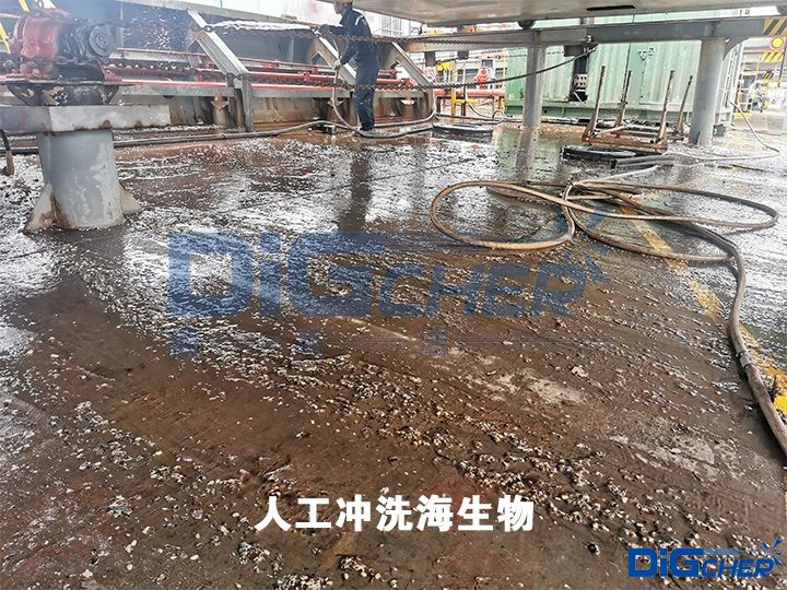 人工冲洗海生物
